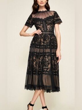 Tadashi Shoji | Dresses | Tadashi Shoji Belline Embroidered Chiffon Midi  Dress | Poshmark
